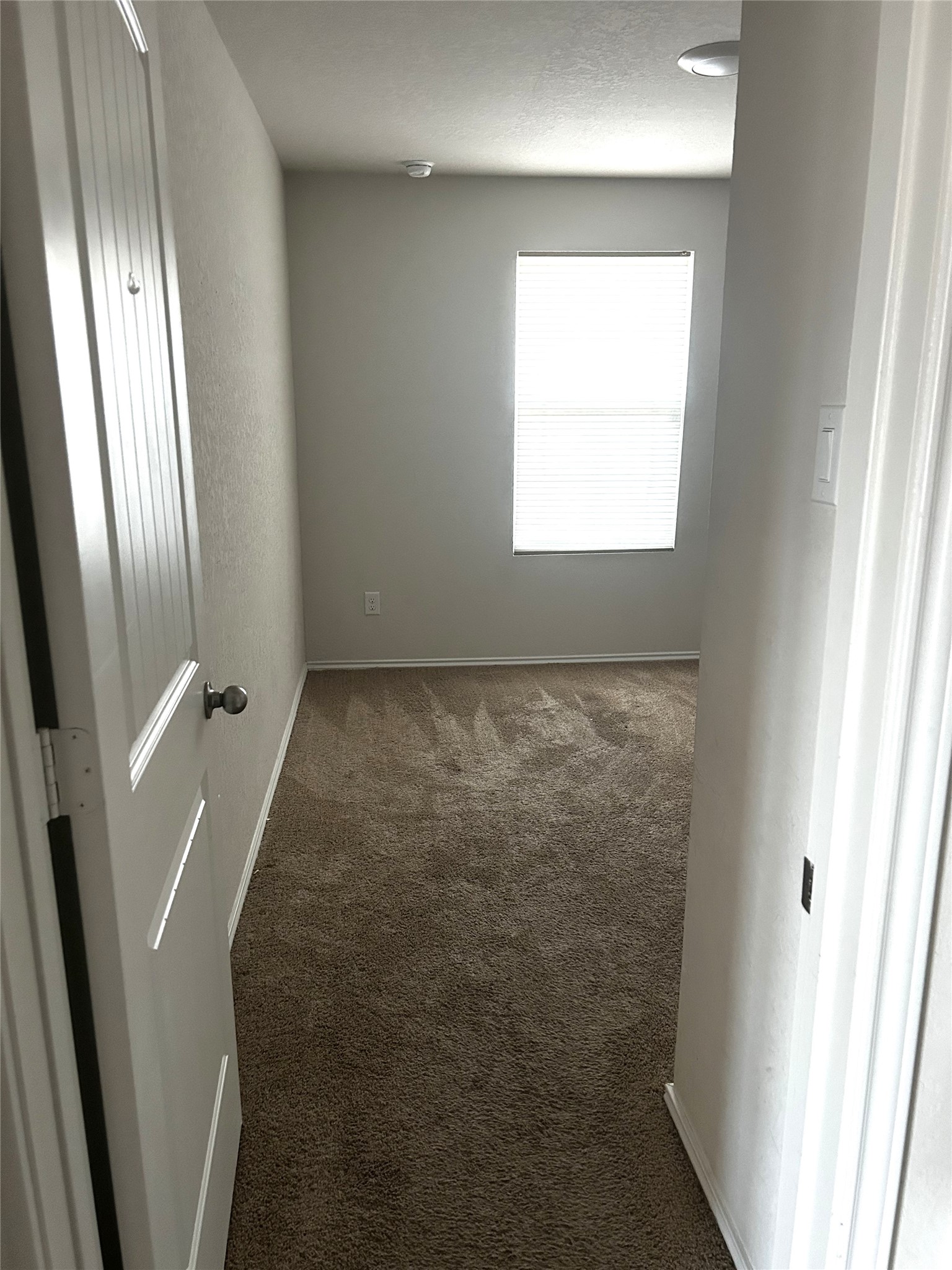 205 Lily Pond Trail Property Photo 9