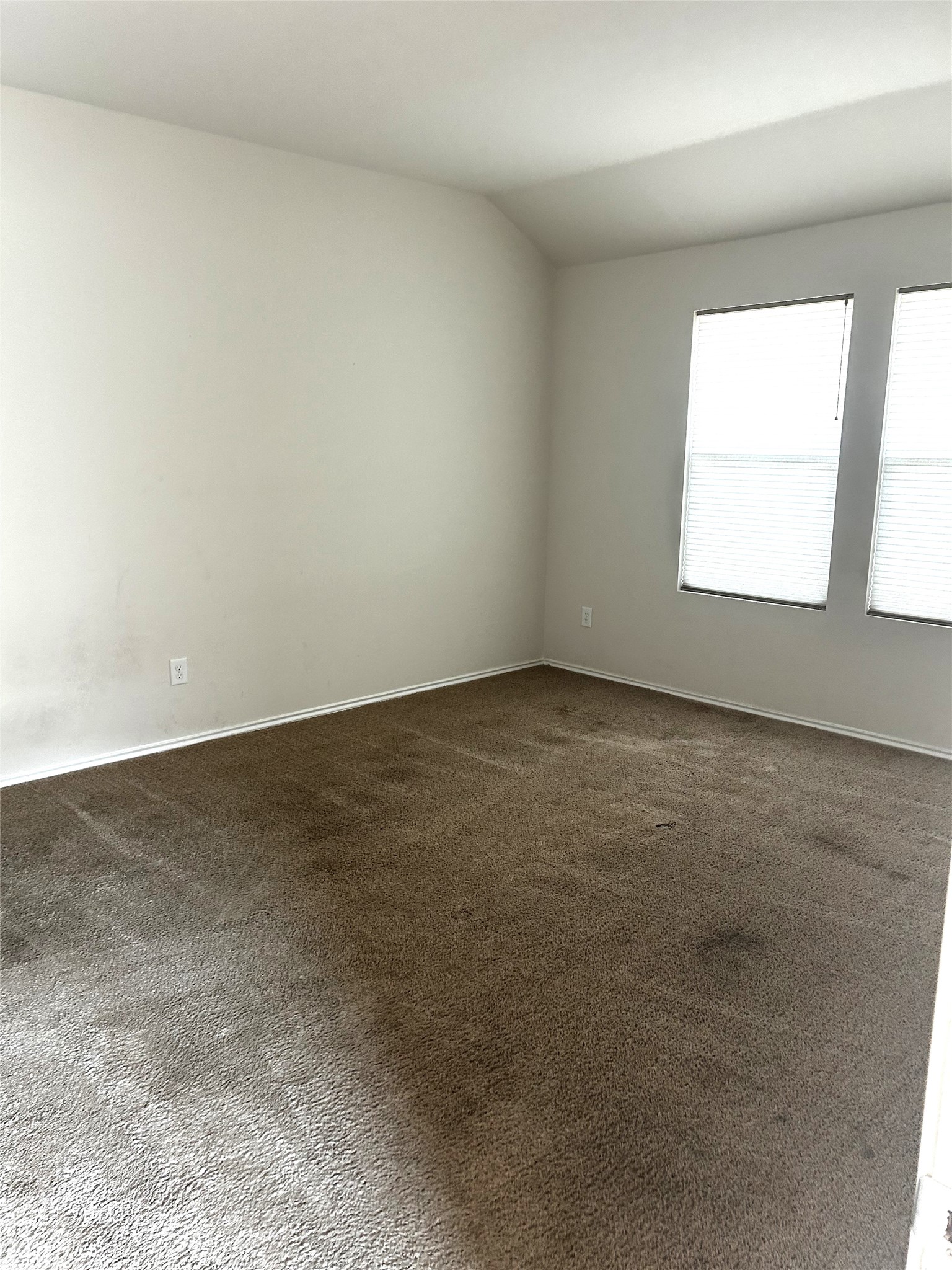 205 Lily Pond Trail Property Photo 11