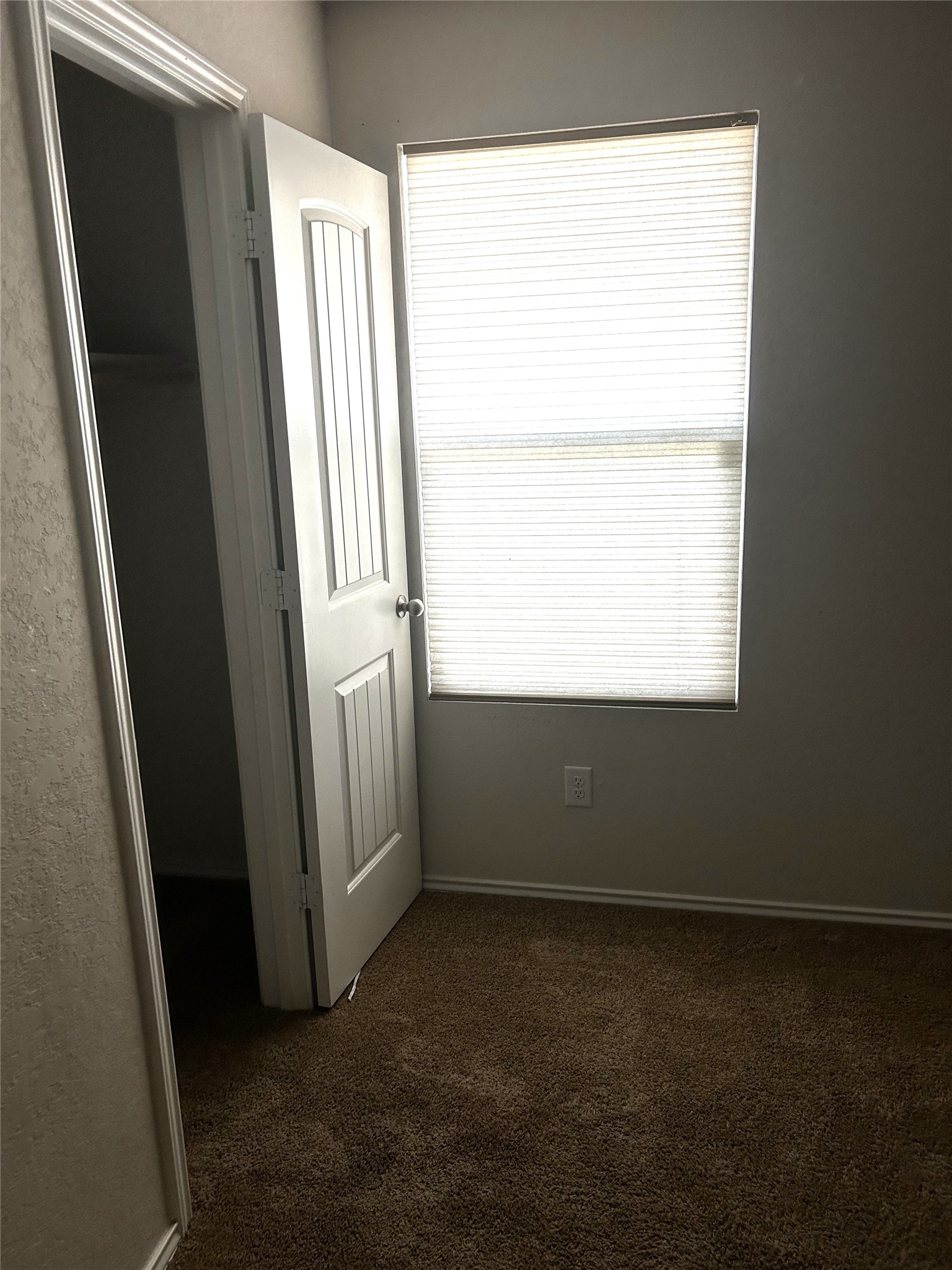205 Lily Pond Trail Property Photo 15