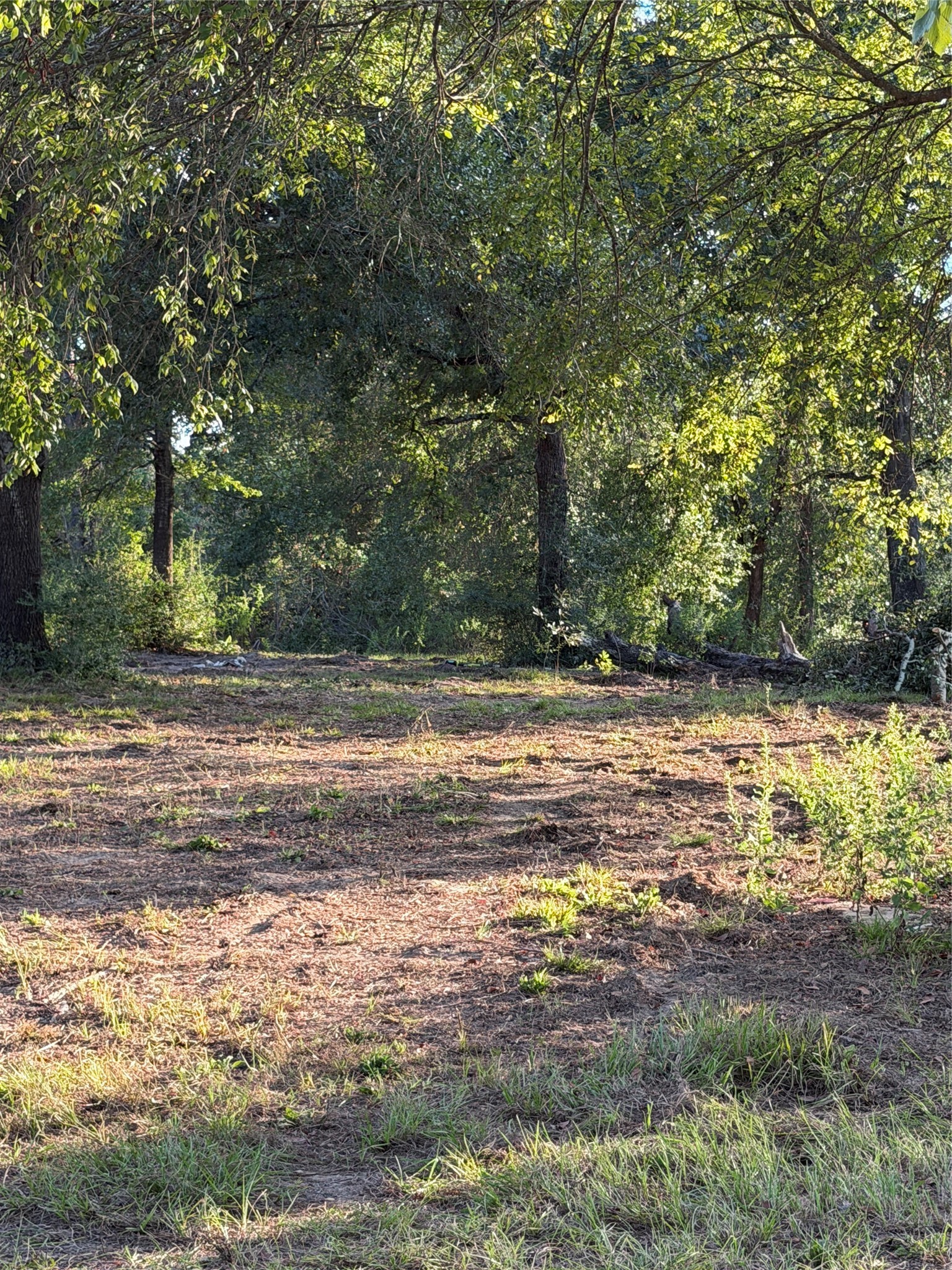 13701 Cr 349 Property Photo 7