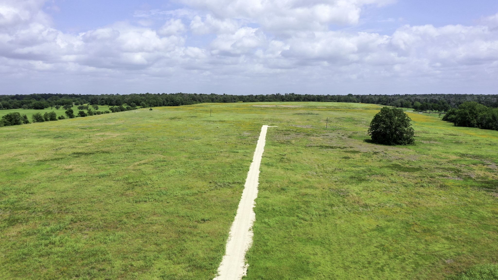 Tbd Cr 328, Tract 7, 10 Acres Property Photo 15