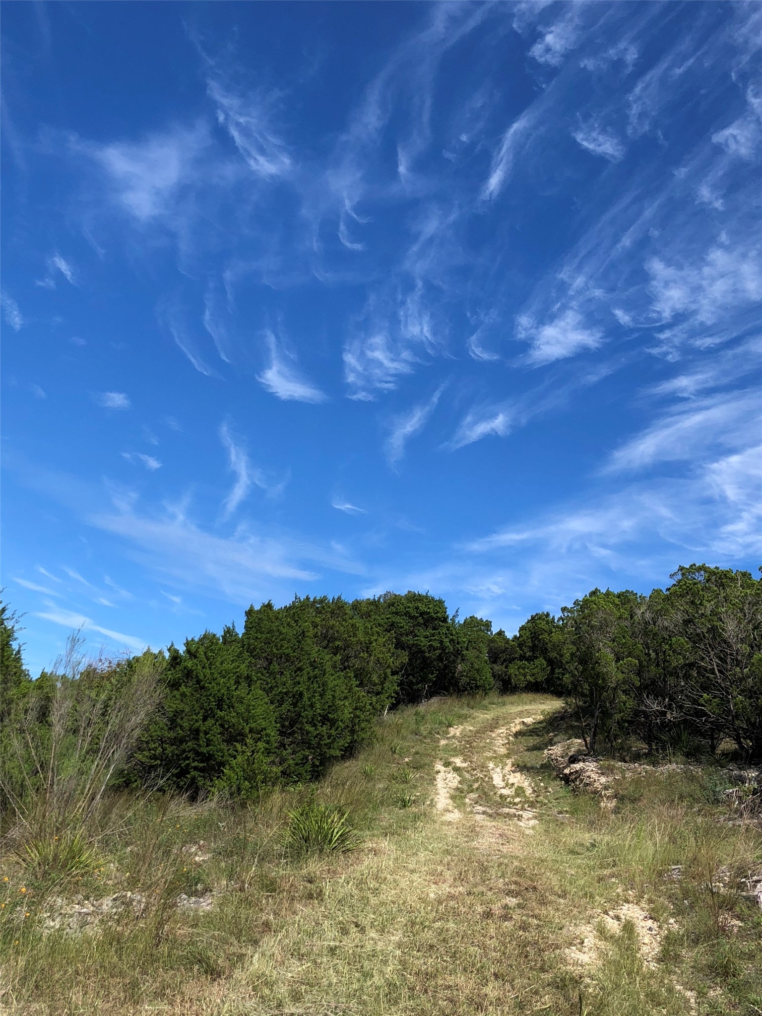 2700 Hillside Circle Property Photo 3