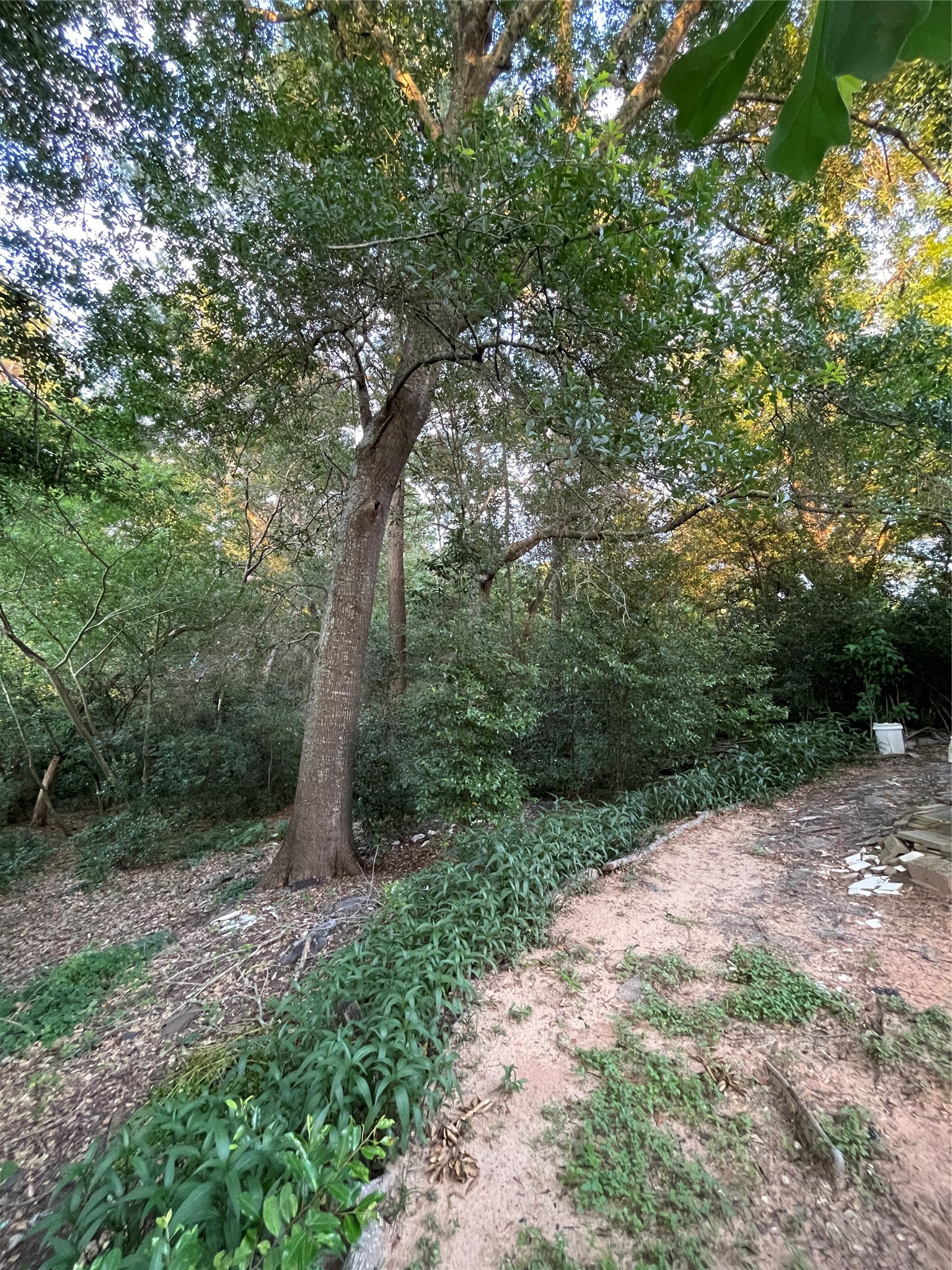 1407 N Sycamore Drive Property Photo 4