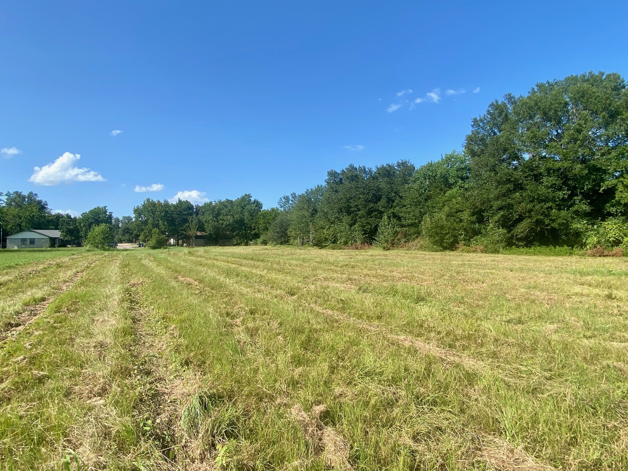 Lot #133 JB McDuff Drive Property Photo 1