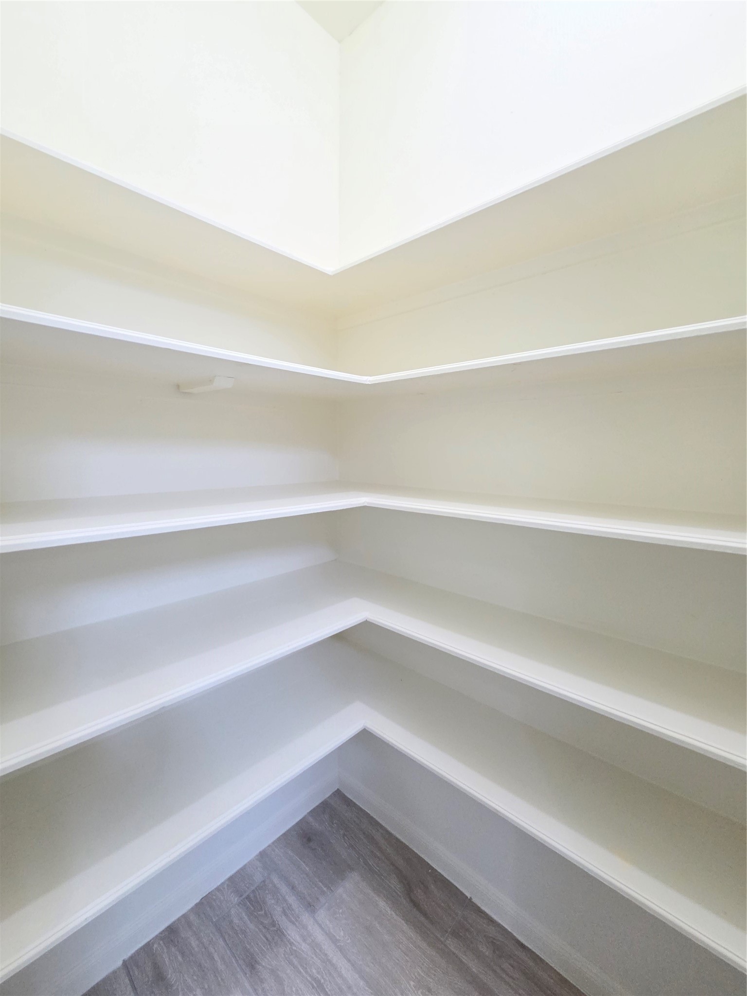 31330 Capella Circle Property Photo 29