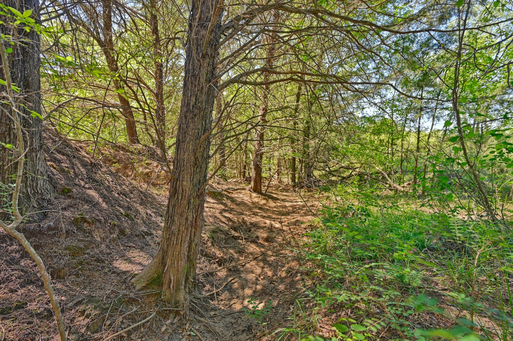 Tbd Lcr 704 Property Photo 2