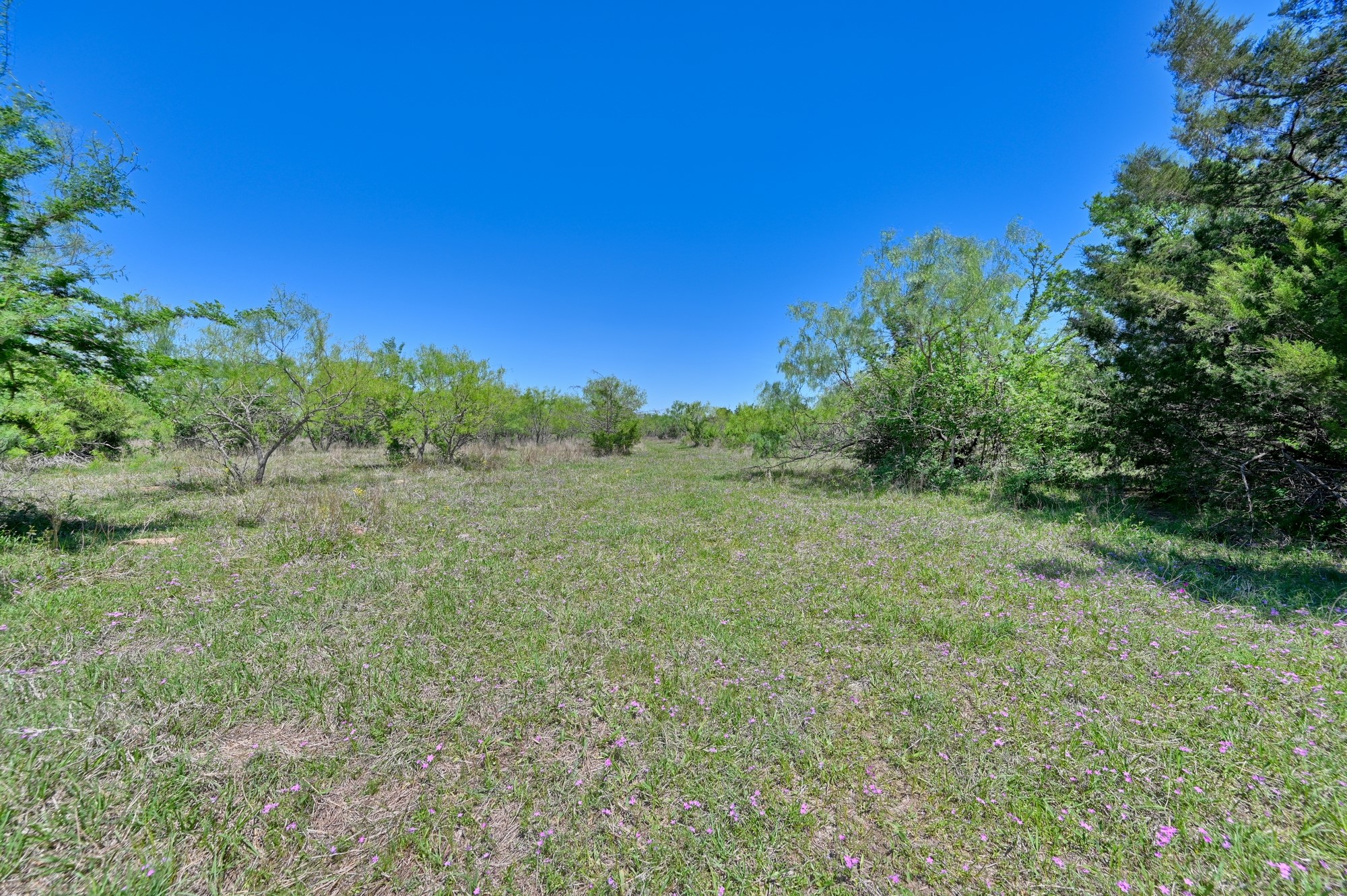 Tbd Lcr 704 Property Photo 4