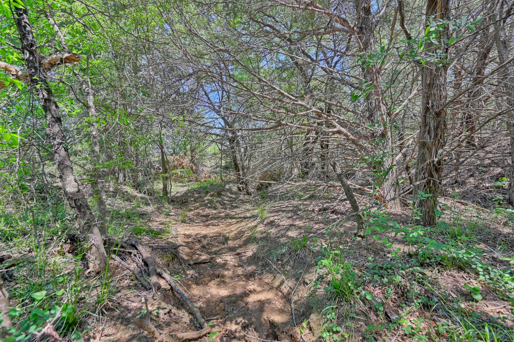 Tbd Lcr 704 Property Photo 5