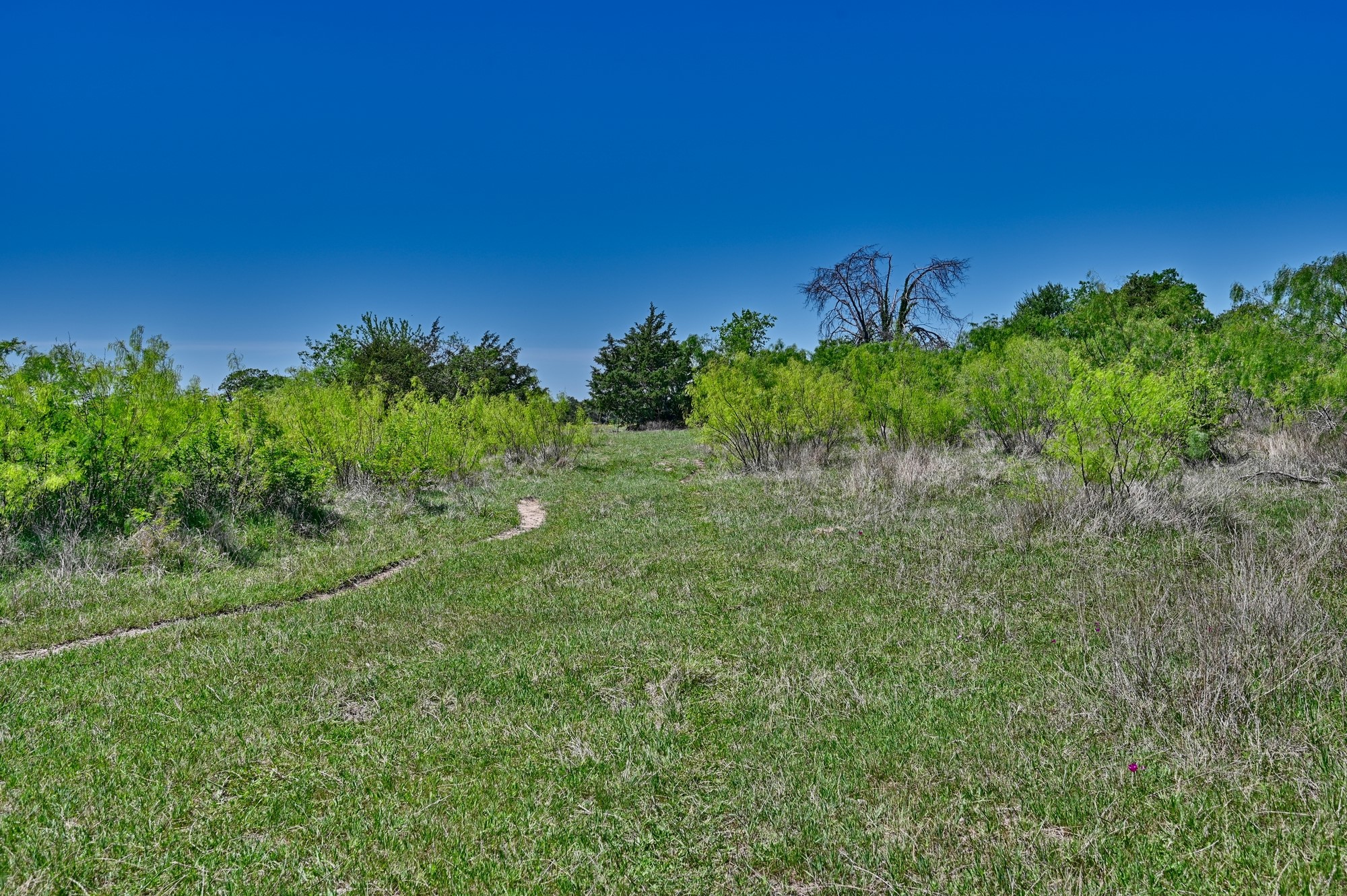 Tbd Lcr 704 Property Photo 8
