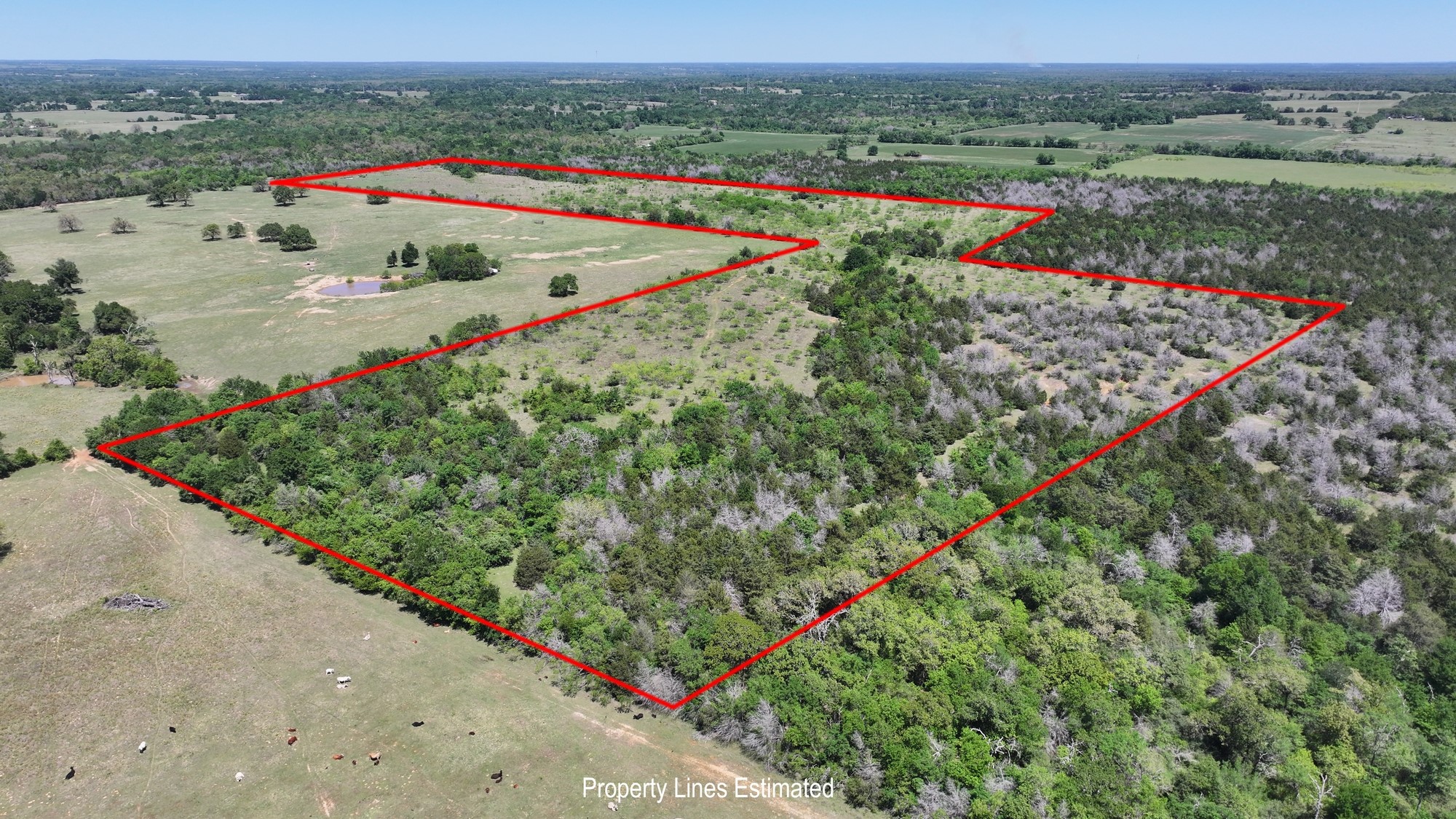 Tbd Lcr 704 Property Photo 14