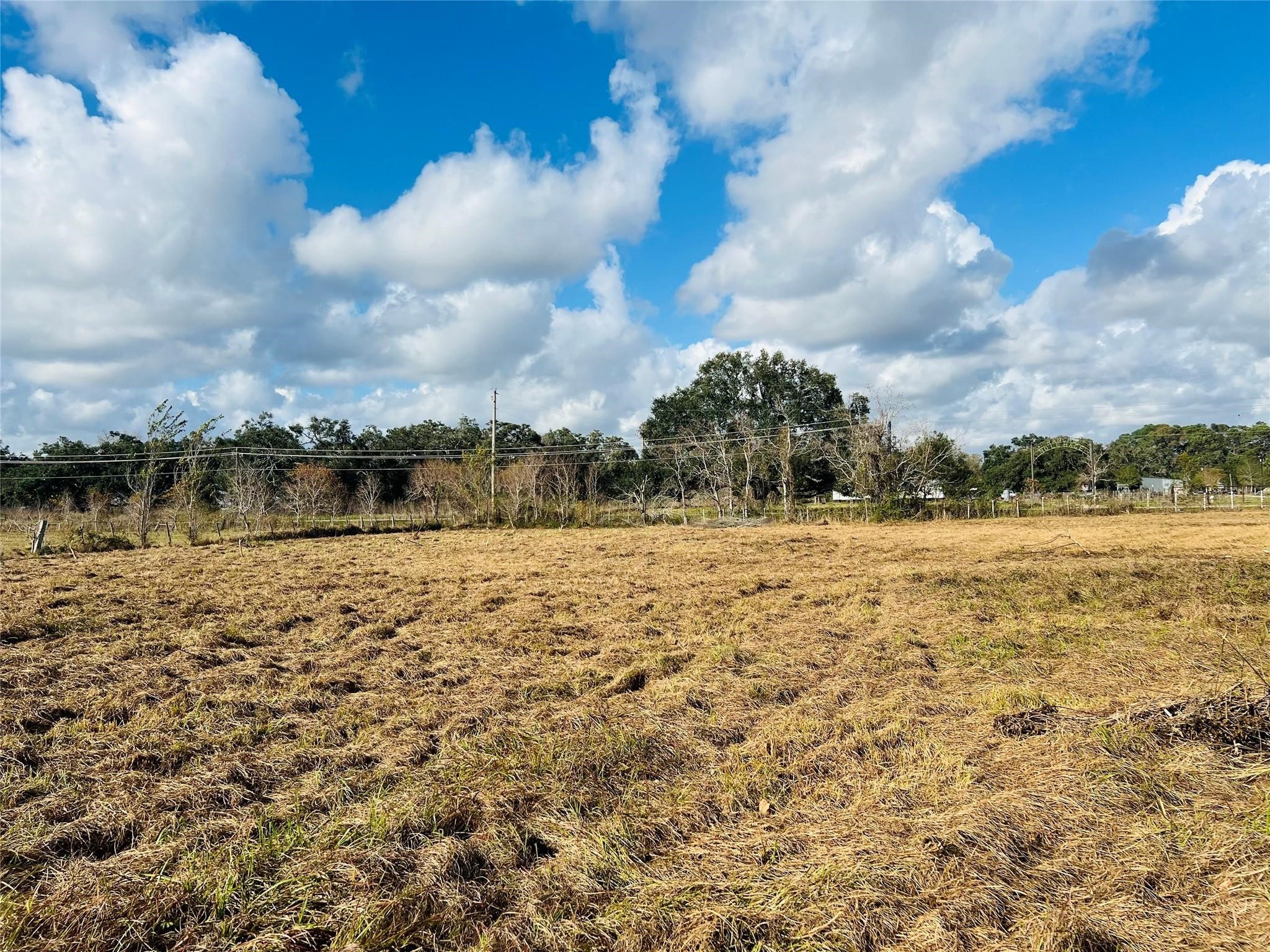 0-10 Acres County Road 219 Road Property Photo 2