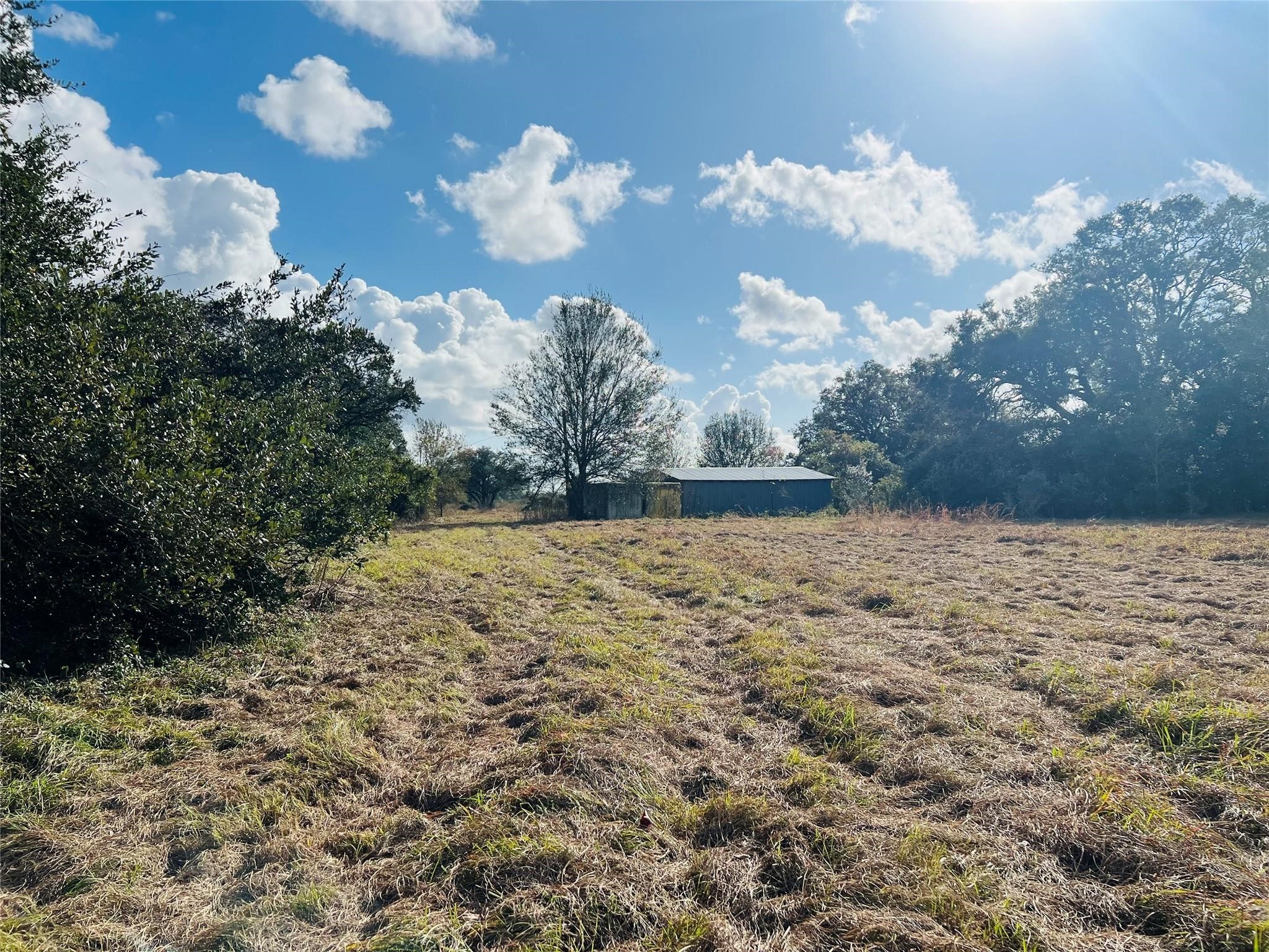 0-10 Acres County Road 219 Road Property Photo 3