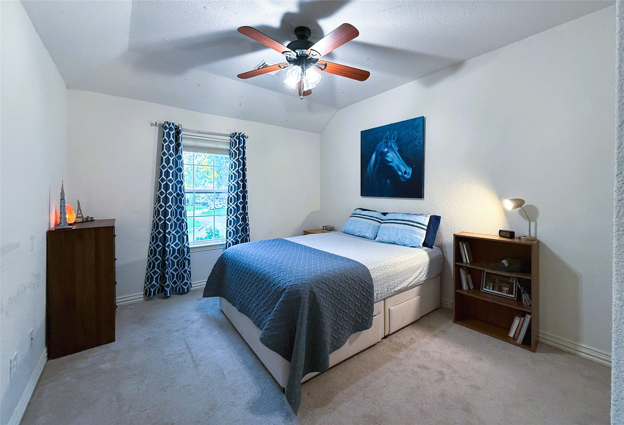 66 Fulshear Court Property Photo 18
