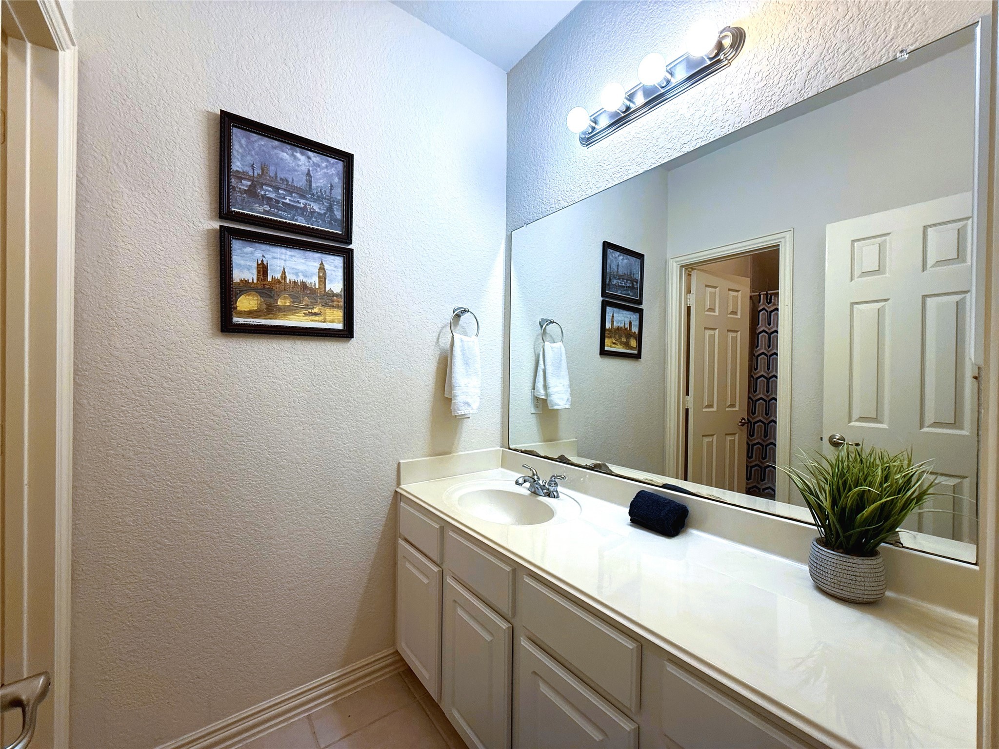 66 Fulshear Court Property Photo 19