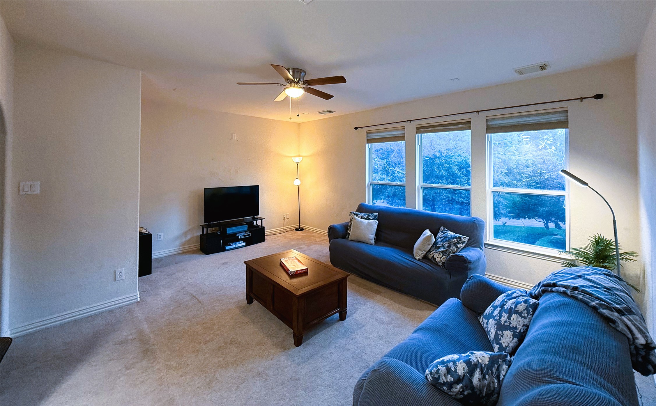 66 Fulshear Court Property Photo 20