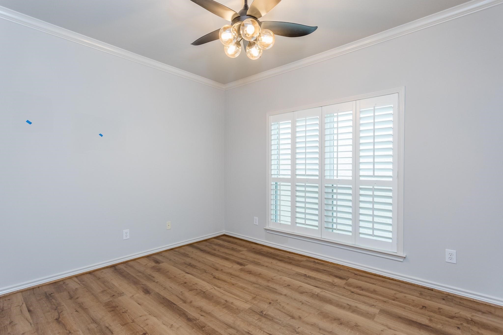 2504 Park Street B Property Photo 27