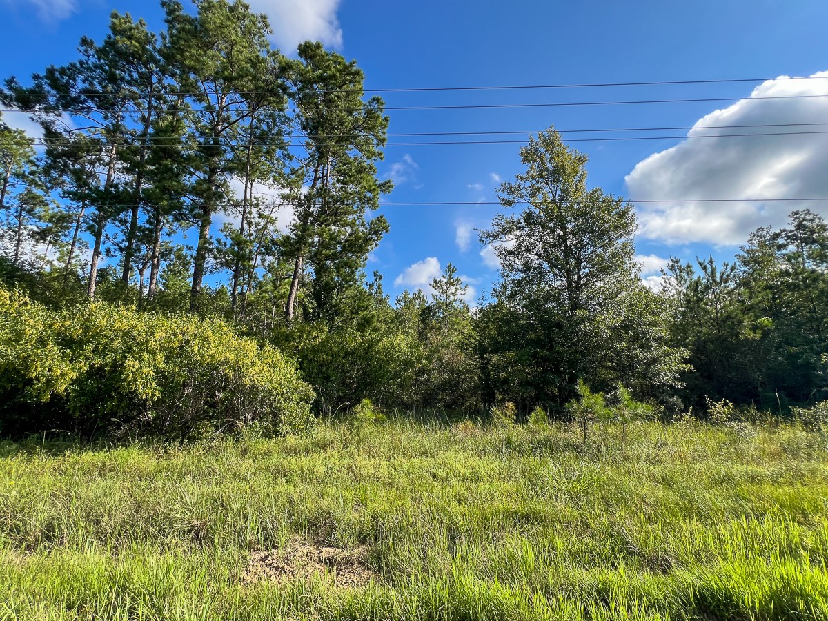 5 Fm 1013 Property Photo 6