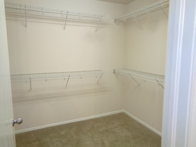 2831 Feather Green Trail Property Photo 6