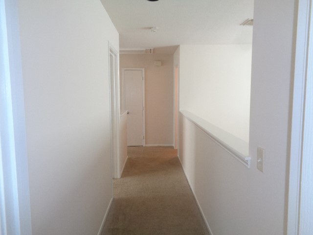 2831 Feather Green Trail Property Photo 8