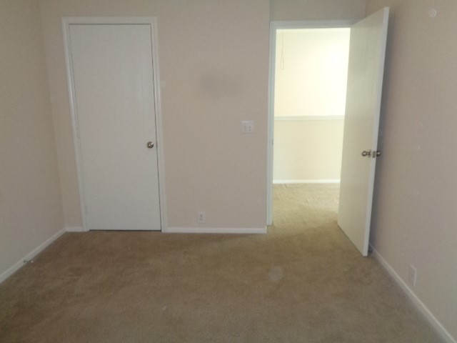 2831 Feather Green Trail Property Photo 14