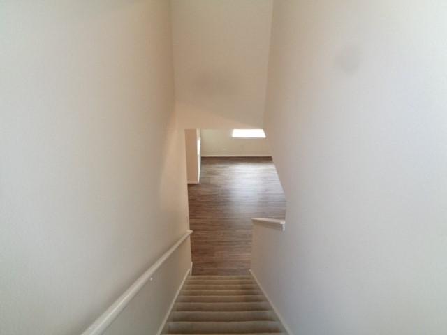 2831 Feather Green Trail Property Photo 17