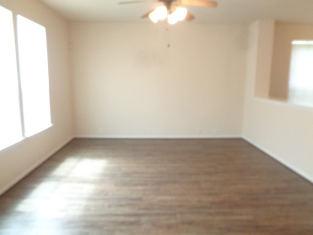 2831 Feather Green Trail Property Photo 23