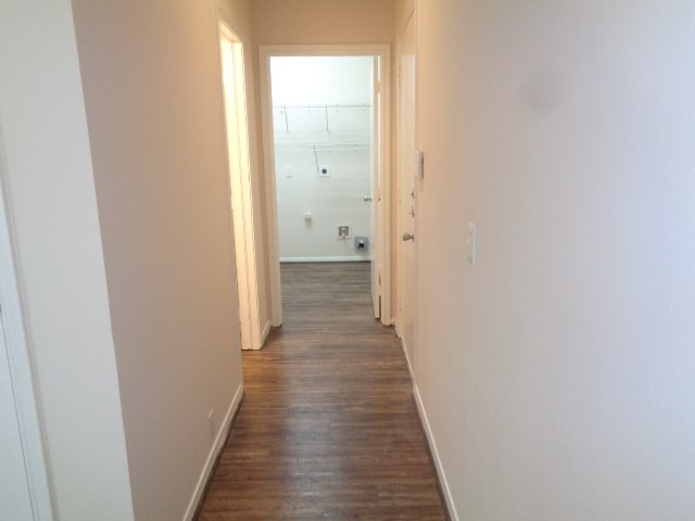 2831 Feather Green Trail Property Photo 27