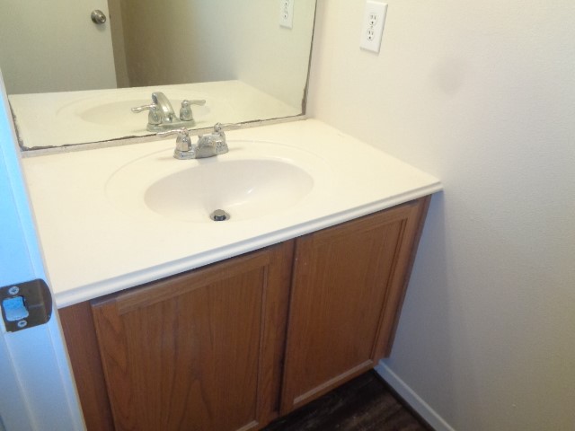 2831 Feather Green Trail Property Photo 29
