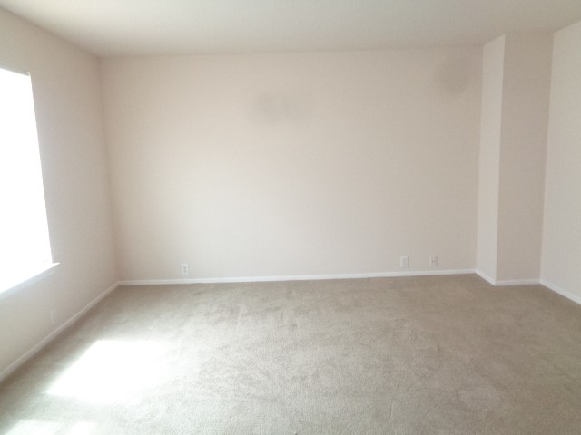 2831 Feather Green Trail Property Photo 31