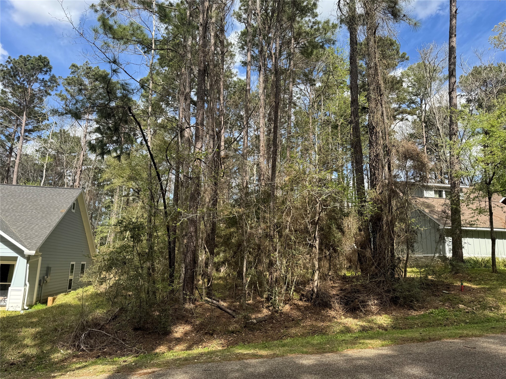 30 Green Tree Drive Property Photo