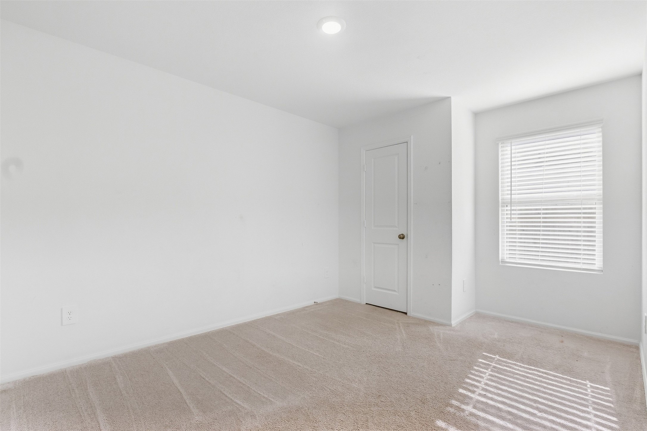 309 Birch Blossom Path Property Photo 15