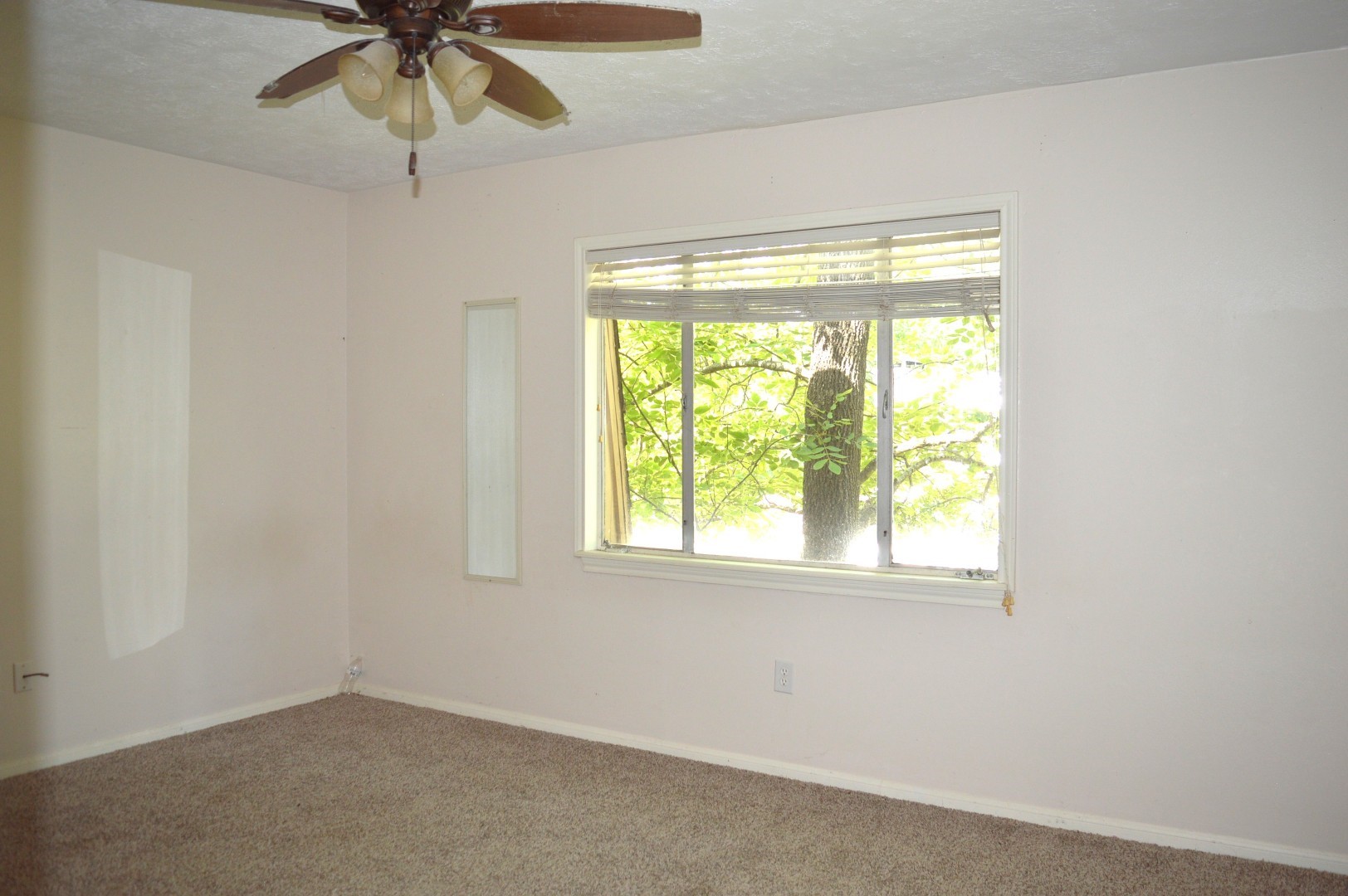 314 Tara Park Property Photo 23