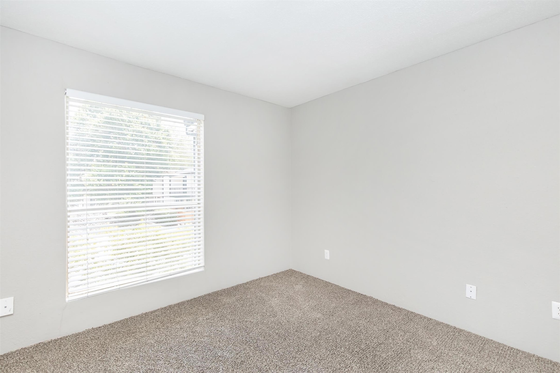 18001 Cypress Trace Road 902 Property Photo 14