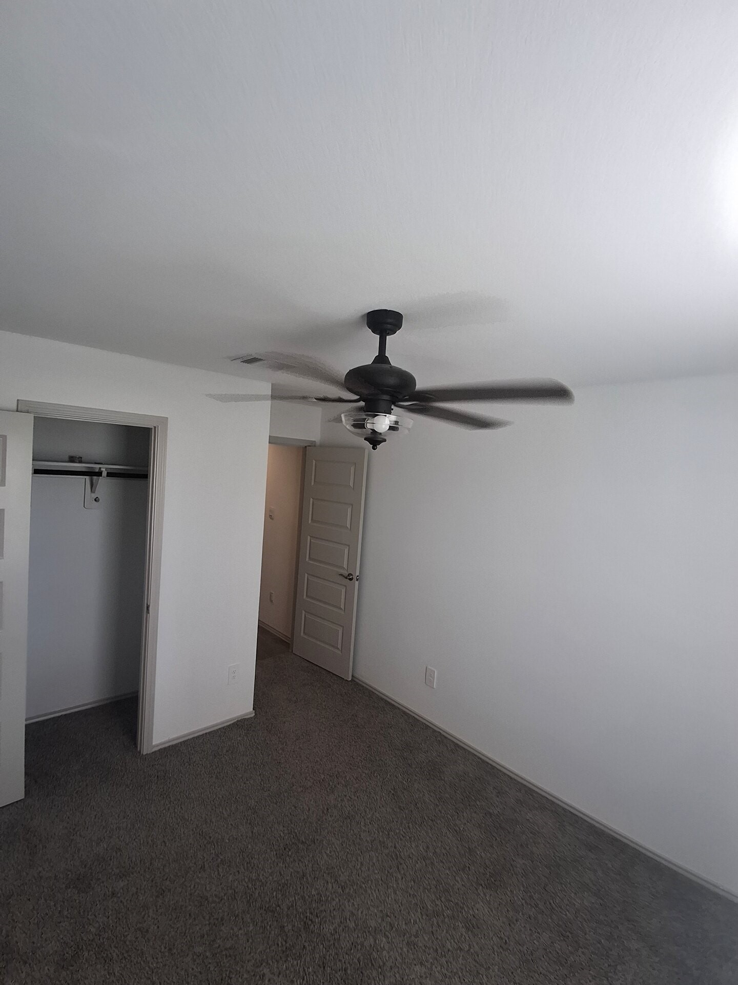 1279 Thornbird Trail Property Photo 13