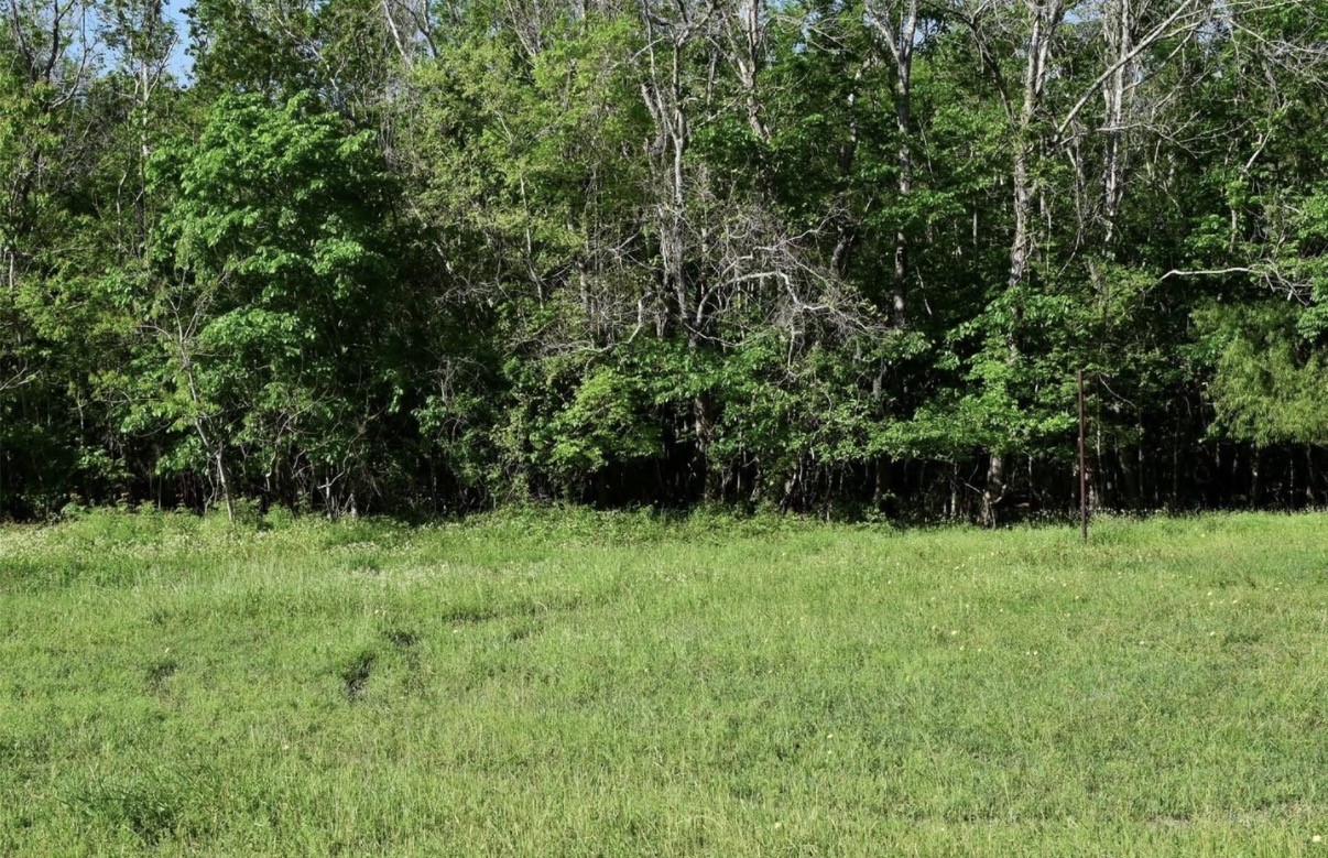 1439 County Road 878a Property Photo 2