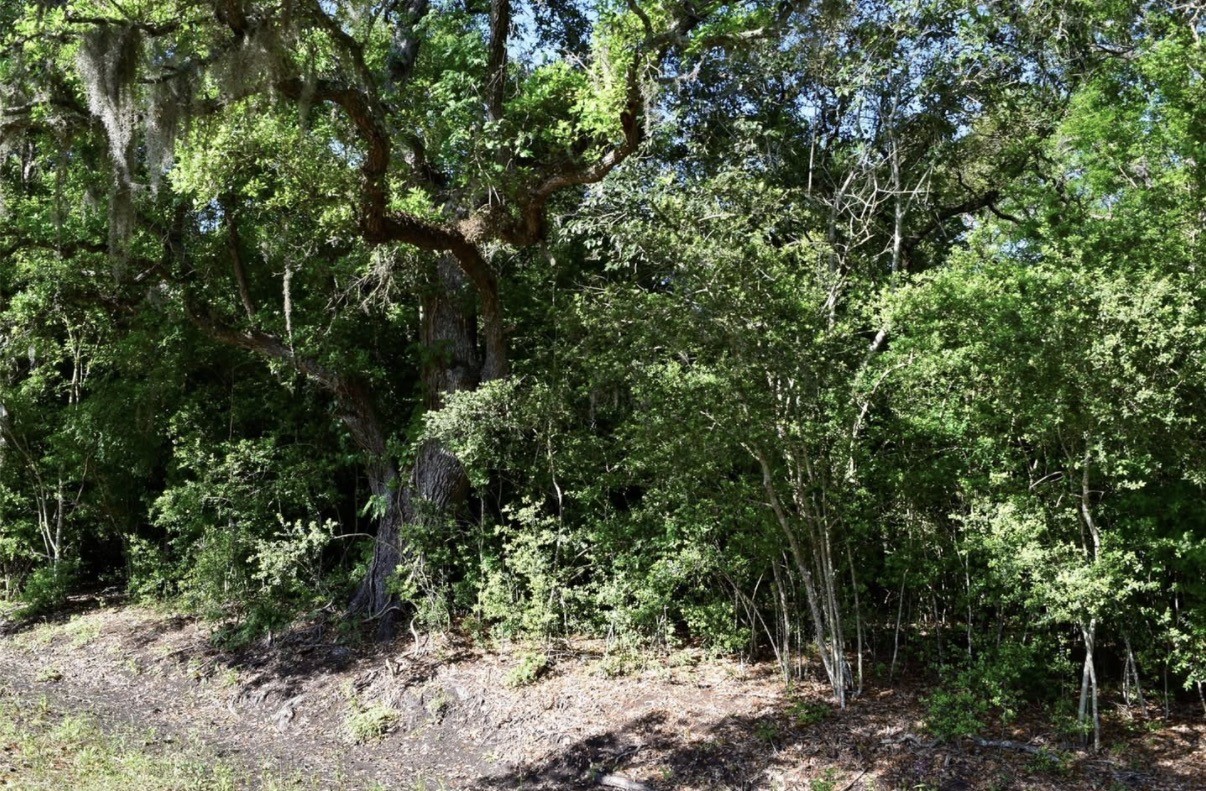 1439 County Road 878a Property Photo 5