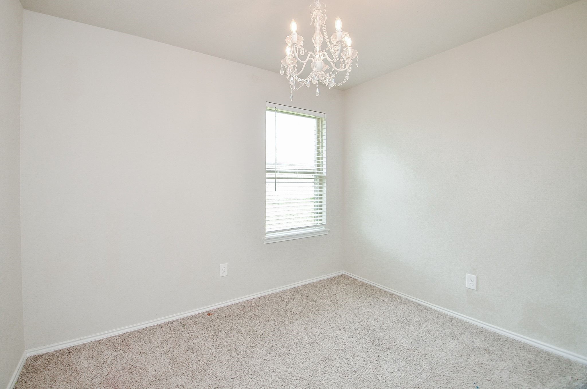 1811 Brady Shores Drive Property Photo 28