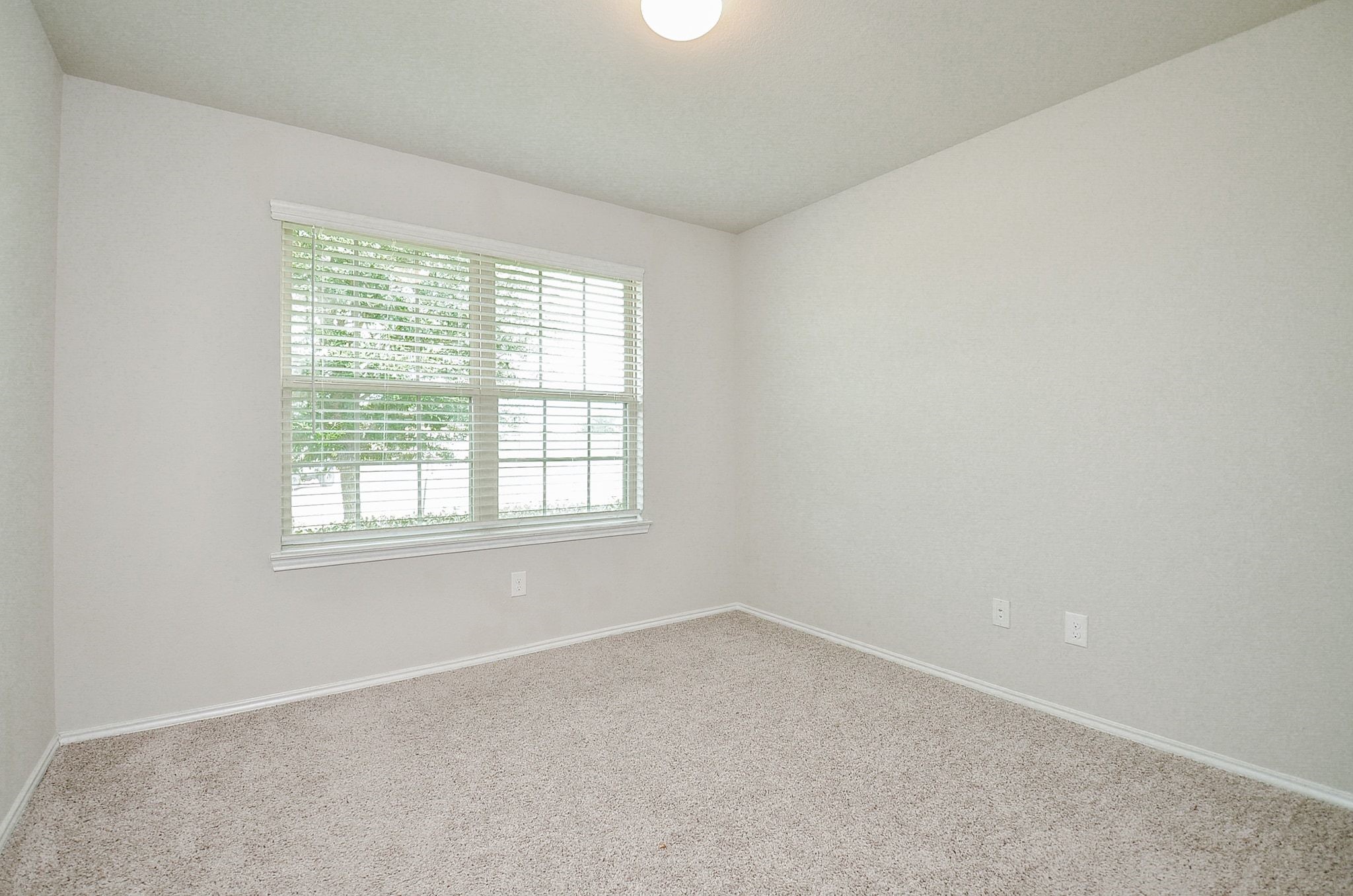 1811 Brady Shores Drive Property Photo 33
