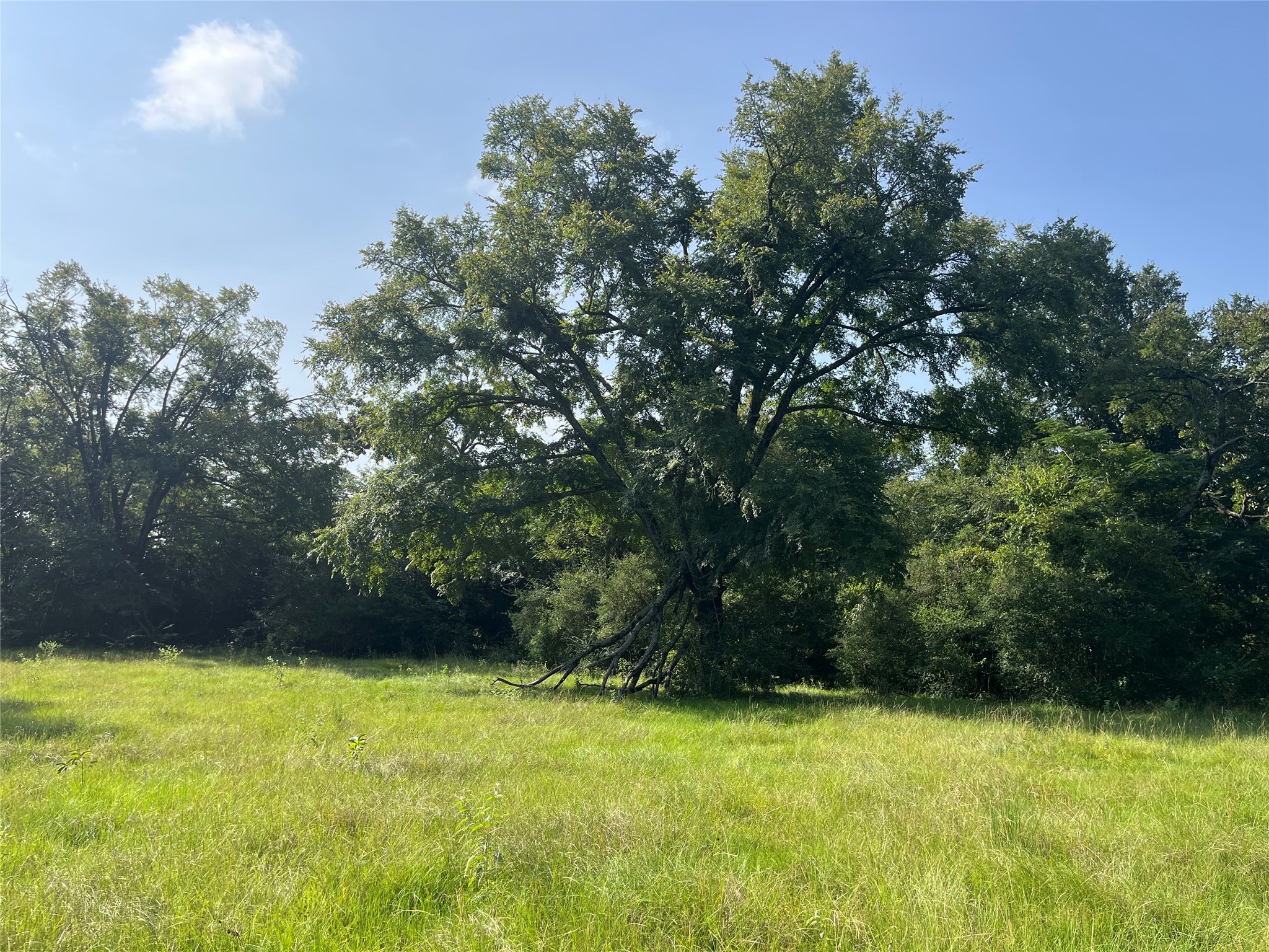Na Cr 320 Property Photo 4