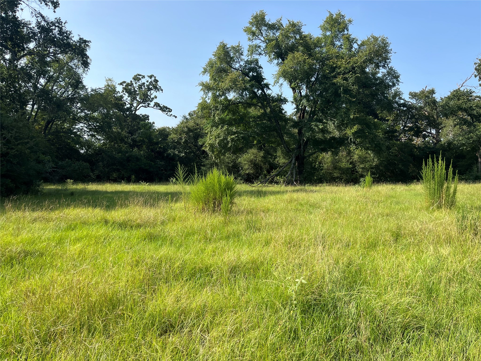 Na Cr 320 Property Photo 6