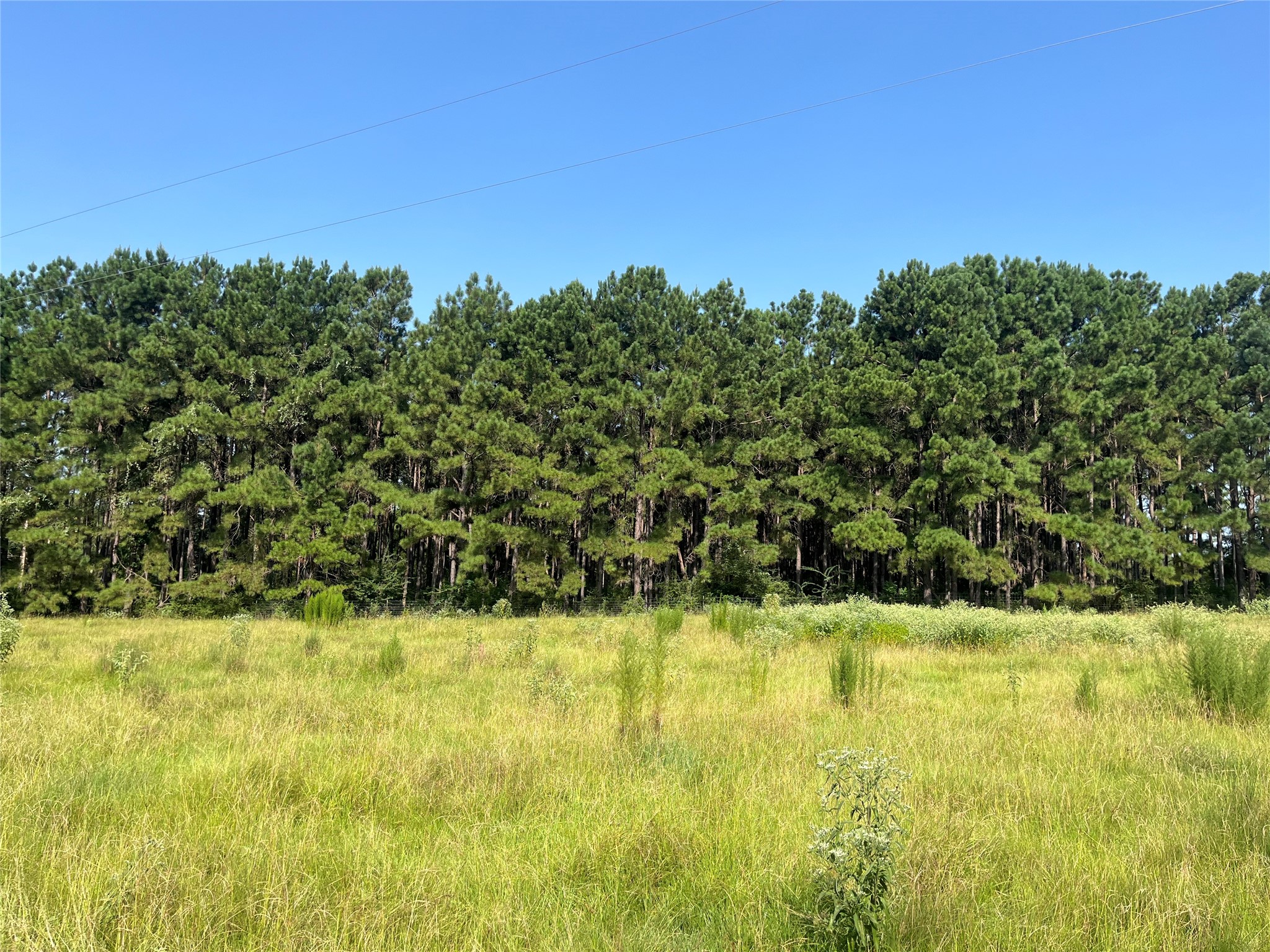 Na Cr 320 Property Photo 7