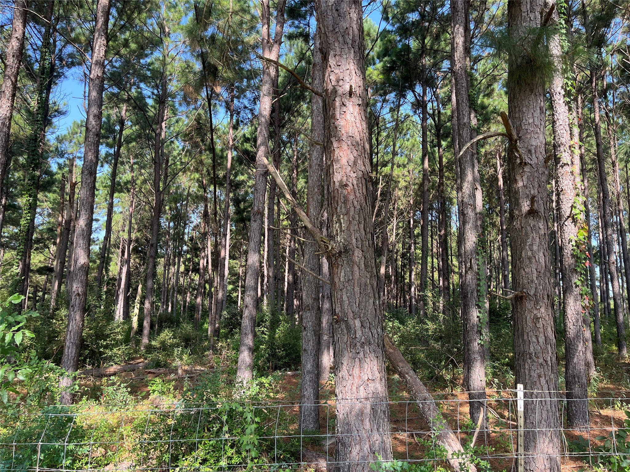 Na Cr 320 Property Photo 10