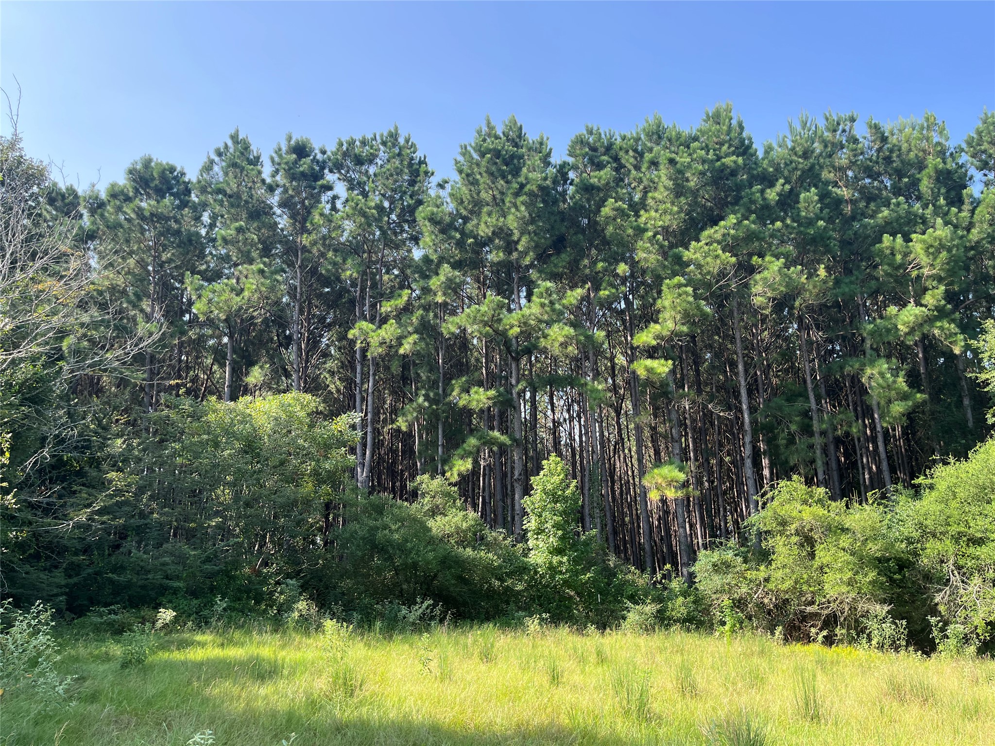 Na Cr 320 Property Photo 13