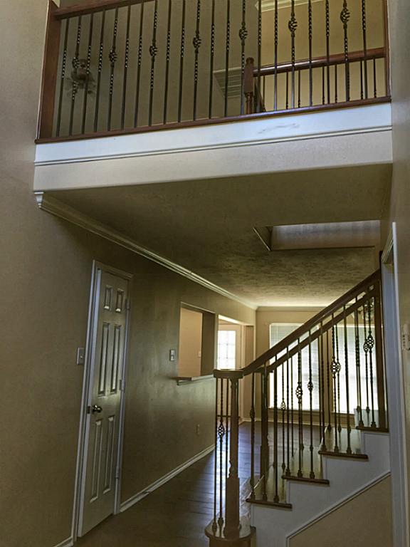8722 Indian Maple Drive Property Photo 2