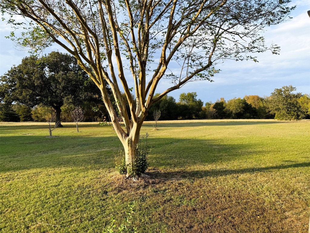 10794 Fm 2159 Property Photo 21