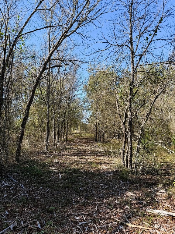 10794 Fm 2159 Property Photo 41