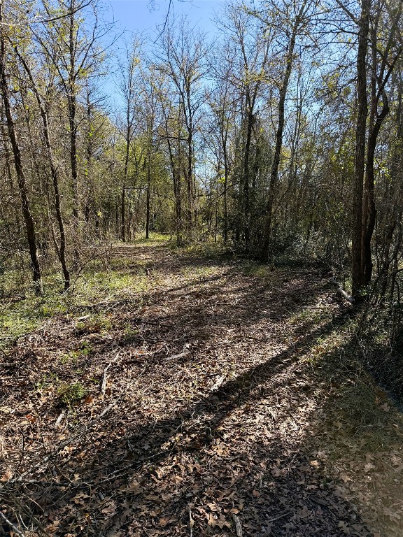 10794 Fm 2159 Property Photo 42