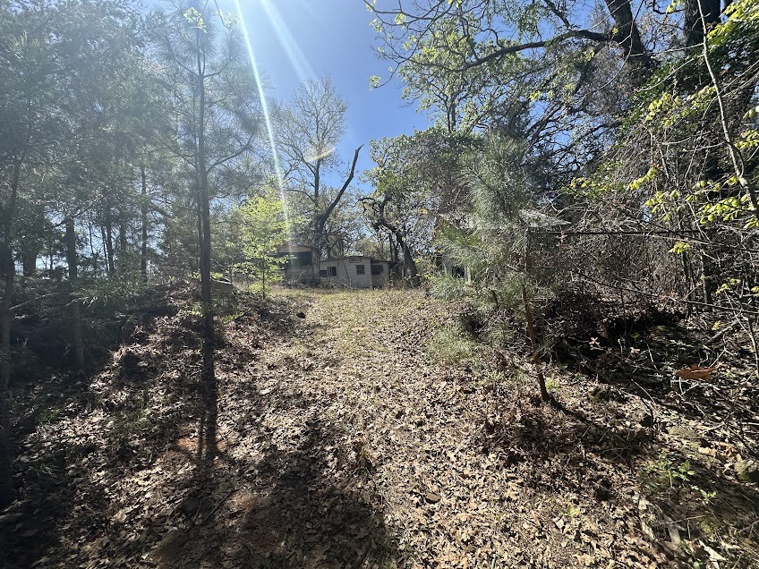 1115 Hickory Drive Property Photo 1