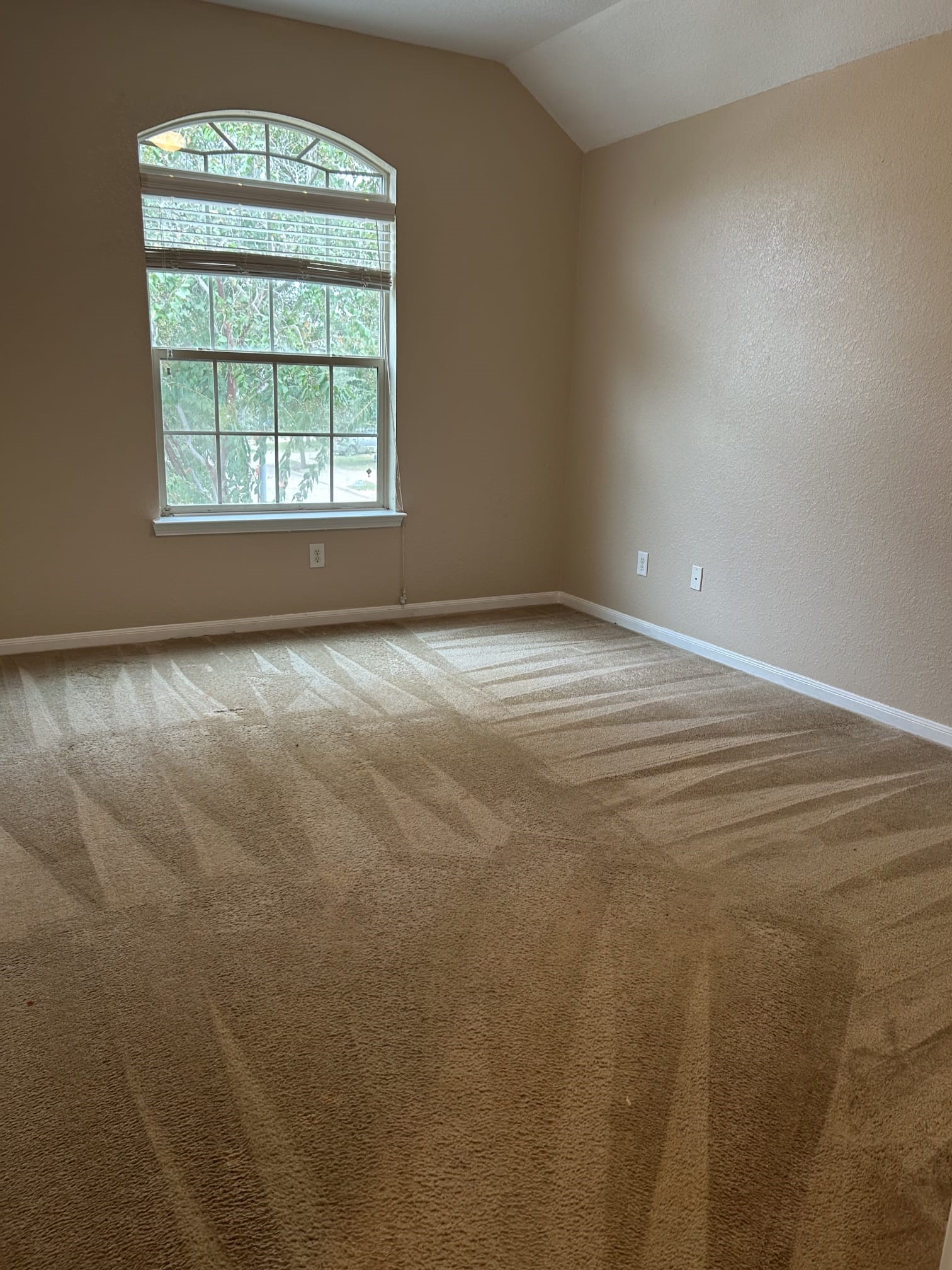 26903 Glacier Creek Drive Property Photo 3