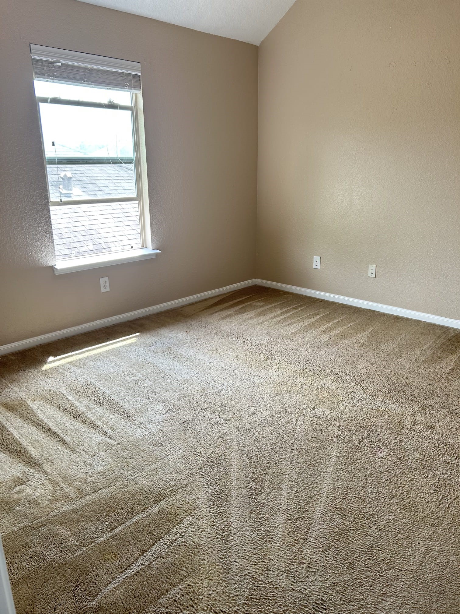 26903 Glacier Creek Drive Property Photo 4